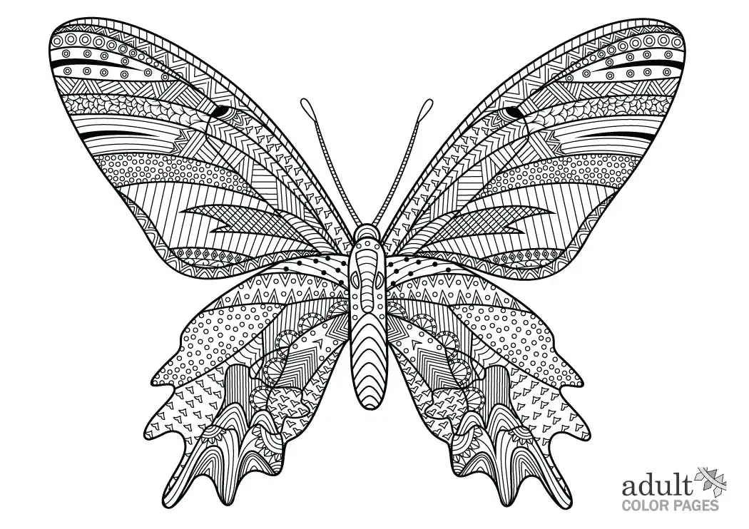 Detailed Butterfly Coloring Pages for Adults