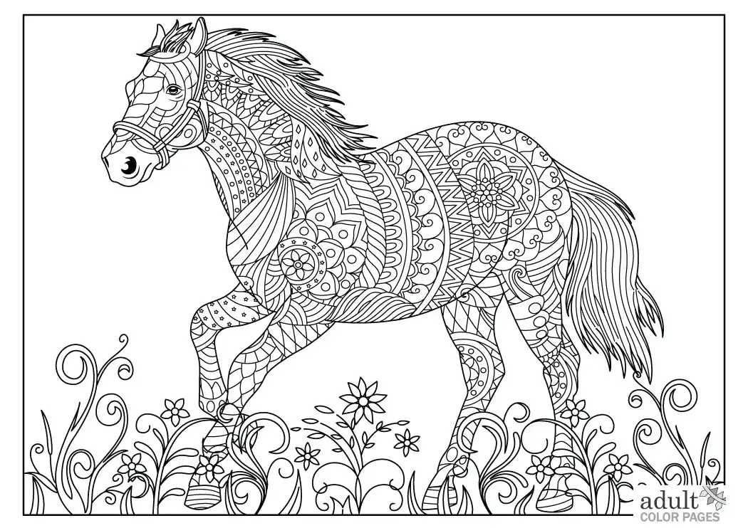 Detailed Horse Coloring Pages for Adults