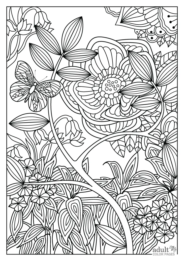 Nature Scenery Colouring Pages