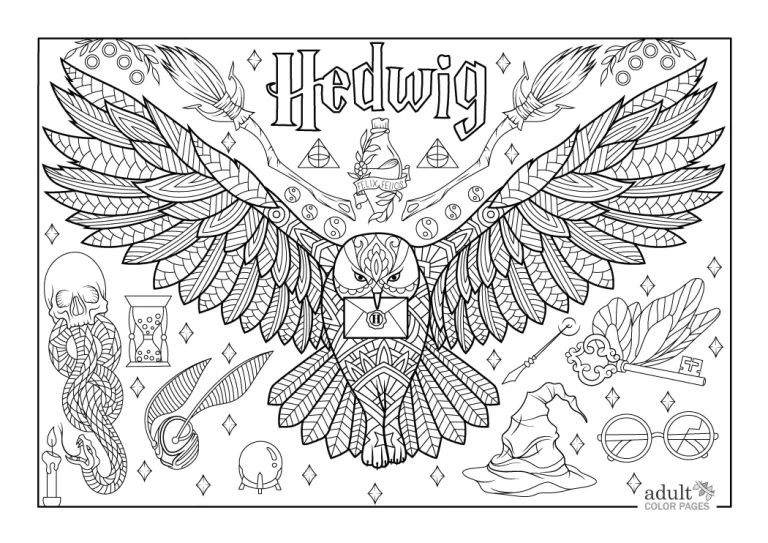 Owl Coloring Pages for Adults - Adult Color Pages