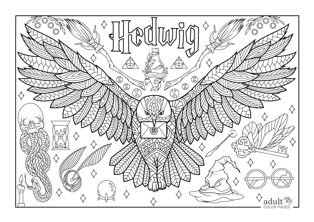 Harry Potter Desenho Para Colorir